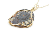 14kt Gold Filled Wire Wrapped Ammonite Necklace