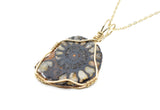 14kt Gold Filled Wire Wrapped Ammonite Necklace