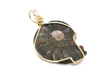 14kt Gold Filled Fossilized Ammonite Necklace