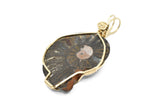 14kt Gold Filled Fossilized Ammonite Necklace