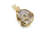 14kt Gold Filled Whole Ammonite Necklace, Purple Opalized Ammonite Necklace