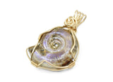 14kt Gold Filled Whole Ammonite Necklace, Purple Opalized Ammonite Necklace