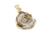 14kt Gold Filled Whole Ammonite Necklace, Purple Opalized Ammonite Necklace