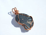 Ammonite Pendant, Copper Wire Wrapped Ammonites, Wire Wrapped Fossils