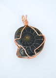 Black Fossilized Ammonite, Copper Wire Wrapped Ammonite Necklace