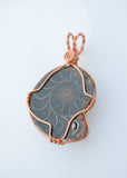 Black Fossilized Ammonite, Copper Wire Wrapped Ammonite Necklace