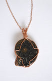 Black Fossilized Ammonite, Copper Wire Wrapped Ammonite Necklace