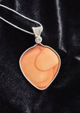 Large Sterling Silver Wire Wrapped Bruneau Jasper Pendant, Jasper Bruneau River, Idaho, Wire Wrapped Necklace