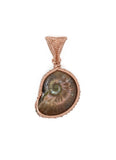 Ammonite Pendant, Copper Wire Wrapped Bezel Set Ammonite Necklace, Back