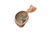 Ammonite Pendant, Copper Wire Wrapped Bezel Set Ammonite Necklace, Front