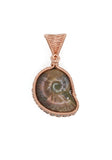 Ammonite Pendant, Copper Wire Wrapped Bezel Set Ammonite Necklace, Front