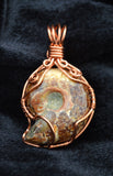 Copper Wire Wrapped Pendant, Wire Wrapped Ammonite Necklace, Brown Ammonite, Whole Ammonite