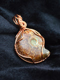 Copper Wire Wrapped Pendant, Wire Wrapped Ammonite Necklace, Whole Ammonite, Reversible Necklace