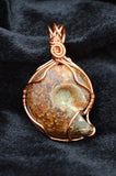 Copper Wire Wrapped Pendant, Wire Wrapped Ammonite Necklace, Whole Ammonite, Reversible Necklace