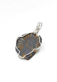 Sterling Silver Wire Wrapped Ammonite with Hematite Necklace