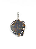 Sterling Silver Wire Wrapped Ammonite with Hematite Necklace