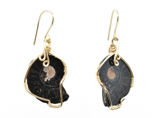 14kt Gold-Filled Wire Wrapped Ammonite Earrings