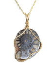 14kt Gold Filled Wire Wrapped Ammonite Necklace