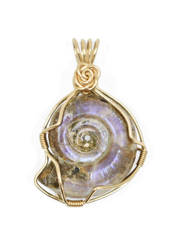 14kt Gold Filled Whole Ammonite Necklace, Purple Opalized Ammonite Necklace