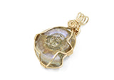 14kt Gold Filled Whole Ammonite Necklace, Purple Opalized Ammonite Necklace