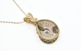14kt Gold Filled Whole Ammonite Necklace, Open bezel set, Double Sided Ammonite Necklace