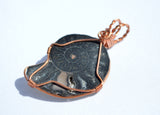 Black Ammonite Necklace, Copper Wire Wrapped Ammonite Pendant