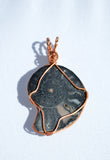 Ammonite Pendant, Copper Wire Wrapped Ammonites, Wire Wrapped Fossils