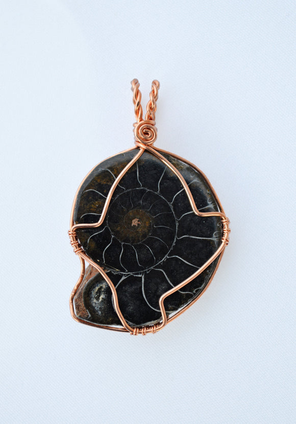 Black Fossilized Ammonite, Copper Wire Wrapped Ammonite Necklace