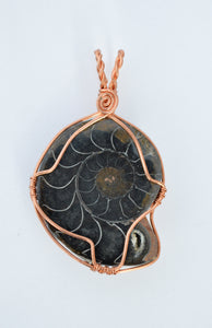 Black Fossilized Ammonite, Copper Wire Wrapped Ammonite Necklace