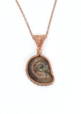 Ammonite Pendant, Copper Wire Wrapped Bezel Set Ammonite Necklace, Front with Copper Chain