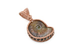 Ammonite Pendant, Copper Wire Wrapped Bezel Set Ammonite Necklace, Front