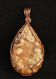 Large Wire Wrapped Fossilized Coral Necklace, Fossil Coral Necklace