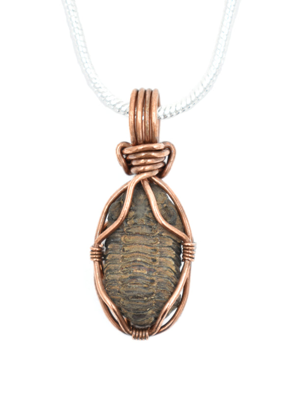 Copper Wire Wrapped Fossilized Trilobite Necklace