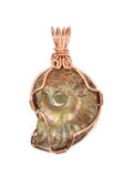 Copper Wire Wrapped Ammonite Necklace, Whole Ammonite Necklace