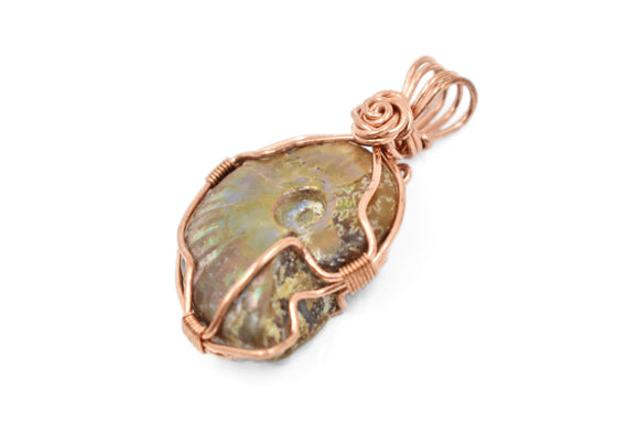 Copper Wire Wrapped Ammonite Necklace, Whole Ammonite Necklace