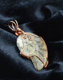 Natural Brown Ammonite Necklace, Copper Wire Wrapped Ammonite Pendant, Reversible Necklace
