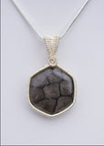 Fossilized Coral Sterling Silver Wire Wrapped Pendant, Medium Wire Wrapped Pendant, Fossil Coral from Alaska