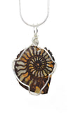 Sterling Silver Wire Wrapped Ammonite with Hematite Necklace