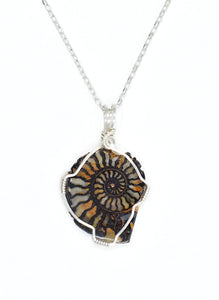 Sterling Silver Wire Wrapped Ammonite with Hematite Necklace