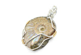 Sterling Silver and 14kt Gold Filled Wire Wrapped Whole Ammonite Necklace, Ammonite Pendants