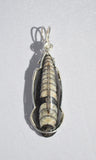 Orthoceras Fossil, Orthoceras Necklace, Wire Wrapped Sterling Silver Pendant, Wire Wrapped Orthoceras Necklace